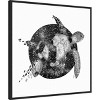 Amanti Art Cosmic Sea Turtle Square Copy by Ec Mazur Framed Canvas Wall Art - 2 of 4