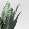 8" x 5" Artificial Snake Plant in Pot - Project 62™ - image 3 of 4