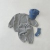 MyKids-Usa Baby Solid Color Long Sleeve Simple Style Hoodie Sets - 2 of 4