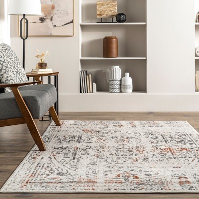 Arlena Distressed Red and Gray Traditional Area Rug, 4' x 6'