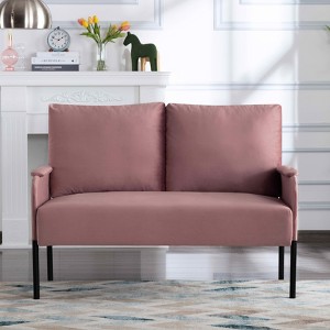 MAYEERTY 46 Inch Modern Loveseat Powder-Coated Metal Frame, Detachable Cushions, Anti-Scratch Legs - 1 of 4