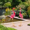 Costway 2-Piece Metal Crane/Flamingo Garden Statue Sculpture Set Outdoor Yard Lawn Decoration - 4 of 4