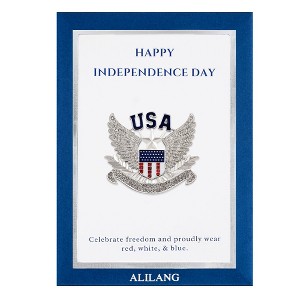 Anna-Kaci USA American Flag Shield with Bird Wings Silver Tone Brooch with Patriotic Gift Message Card & Envelope Jewelry Gifts - 1 of 4