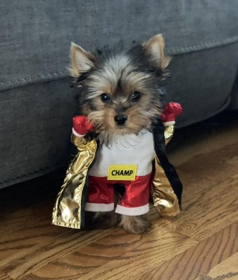 Guest review image 1 of 2, zoom in