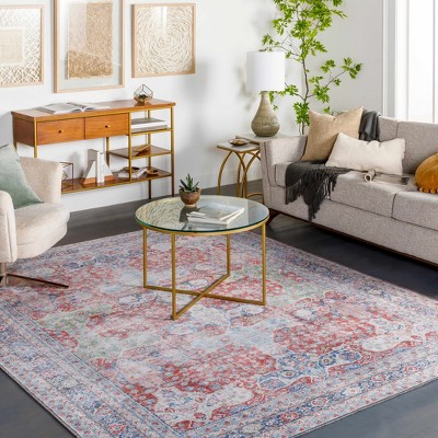 Hauteloom Rust Goma Vintage Washable Area Rug