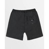 Boy's Big Taxer Walk Shorts - Quicksilver - 2 of 2