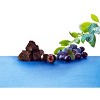 Brookside Dark Chocolate, Acai and Blueberry Flavored Snacking Chocolate Candy - 21oz - 4 of 4