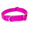 Country Brook Petz Martingale Heavyduty Training Collar with No Buckle - Service Collar for All Dogs - Vibrant, Colorful Collection - 2 of 4