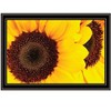 HomeRoots Sunflower Portrait Black Framed Print Wall Art - 4 of 4
