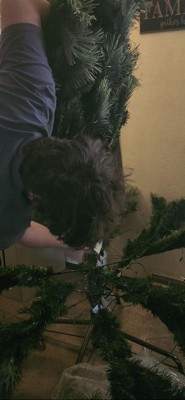 Guest review image 2 of 2, zoom in