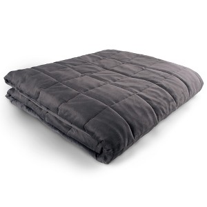 Hug Bud Weighted Blanket - 80" X 87" - 25-lbs - No Cover Required - Fits Queen/King Size Bed - Minky Grey - 1 of 1