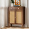 Hommoo Rattan Shoe Cabinet with Doors and Drawer - 3 of 4