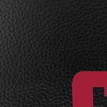alabama crimson tide