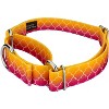 Country Brook Petz Martingale Dog Collar - Abstract Collection - 2 of 4