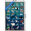 Trends International Wild Kratts - Grid Framed Wall Poster Prints - 3 of 4