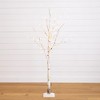 Nearly Natural 5-ft Pre-Lit Artificial Birch Tree with 76 Warm White LED Lights - 2 of 4
