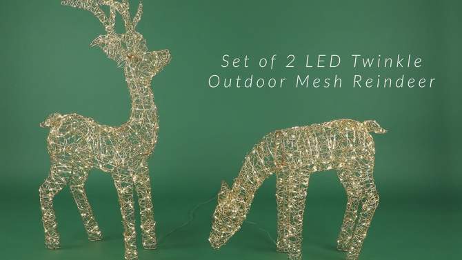 Northlight Set of 2 LED Twinkle Lighted Gold Mesh Reindeer Outdoor Christmas Decoration 37", 2 of 10, play video