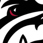 georgia bulldogs uga