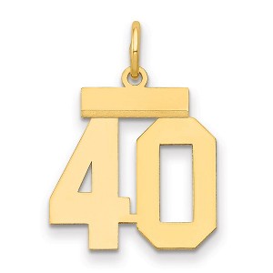 Black Bow Jewelry 14k Yellow Gold, Athletic Collection, Small Polished Number 40 Pendant - 1 of 3