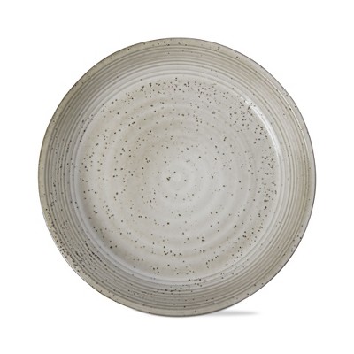 TAG Loft Speckled Reactive Glaze Stoneware Dinnerware Plate 10 inch Latte Dishwasher Safe Set 4