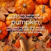 Air Wick Scented Oil Vibrant Air Fresheners - Harvest Pumpkin Spice - 3ct - 3 of 4