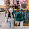 Turtle Fur Adult Zelda Polylana Beanie - Women's Eco-Friendly Winter Hat - 2 of 3