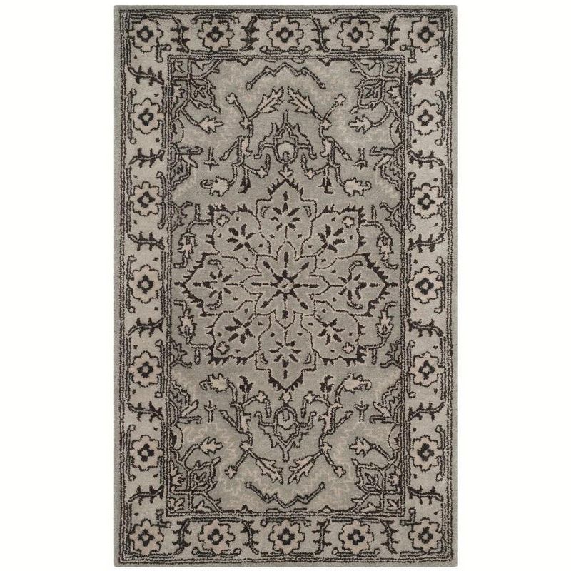 Antiquity AT58 Hand Tufted Area Rug  - Safavieh, 1 of 5