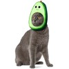 Rubies Yummy World Avocado Face Pet Headpiece Accessory - 2 of 4