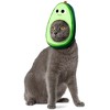 Rubies Yummy World Avocado Face Pet Headpiece Accessory - image 2 of 4