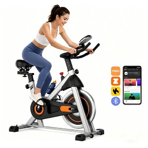 vtuvia electric bicycle Pushpak Motors Vtuvia Reindeer Fat Tire Electric Bike main image 1