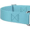 Country Brook Design Martingale Heavyduty Nylon Dog Collar and Double Handle Leash - 4 of 4