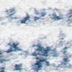ivory/navy