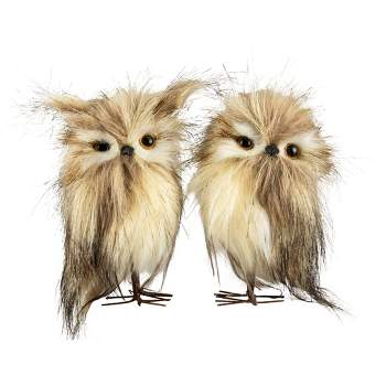 Northlight Set of 2 Brown and Ivory Owls Figures