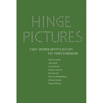 Hinge Pictures - by  Alex Klein (Hardcover)