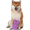 Peeps for Pets Dress Up Plush Bunny Toy for Dog- Purple - 3 of 4