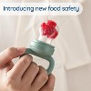 2-Pack Silicone Baby Fruit Feeders with Mini Freezer Tray – Teethers, Breastmilk Popsicle Molds, Safe Self-Feeding, Extra Food Pouches - 4 of 4