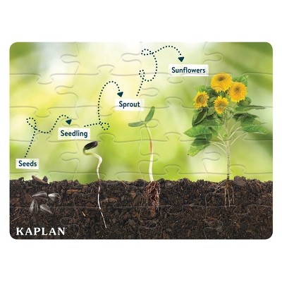 Kaplan Early Learning STEM Learning Sunflower Life Cycle Floor Puzzle from Seed to Sunflower - 24 Pieces