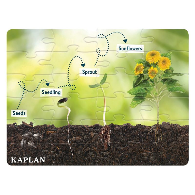 Kaplan Early Learning STEM Learning Sunflower Life Cycle Floor Puzzle from Seed to Sunflower - 24 Pieces, 1 of 4