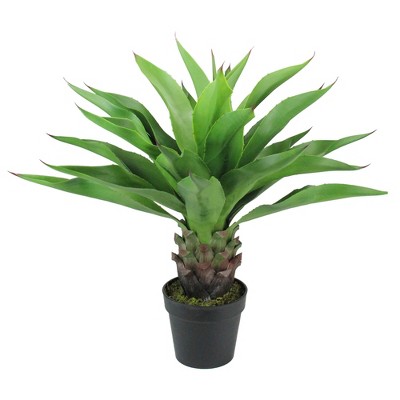 Northlight 30.5" Brown and Green Artificial Agave Succulent Plant In a Black Pot