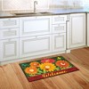 Briarwood Lane Spring Doormat 30x18 Indoor Outdoor Colorful Daisies For Spring Doormat - 4 of 4