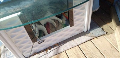 Guest review image 1 of 2, zoom in