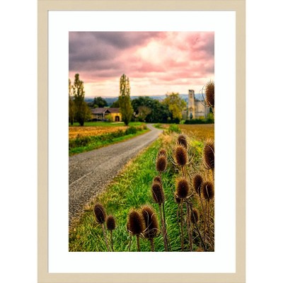 Chateau Tauzia Thistles Scenic Photography Print in Svelte Natural Frame