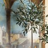 Plum & Post Olive Tree Potted 46" - 3 of 4
