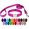 Country Brook Petz Premium Nylon Dog Collar and Leash Set for Small Medium Large Dogs - Vibrant 30+ Color Selection - 2 of 4