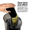 Hamilton Beach Big Mouth Pro 800 Watt Juice Extractor 67608A: Electric Juicer, Dishwasher-Safe, 1 Speed, 20 oz Capacity - 3 of 4