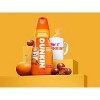 Dunkin' Donuts Pumpkin Munchkin Coffee Creamer - 32 fl oz - 2 of 4