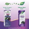 Nature's Way Sambucus Elderberry Traditional Immune Syrup - 8 fl oz - 3 of 4