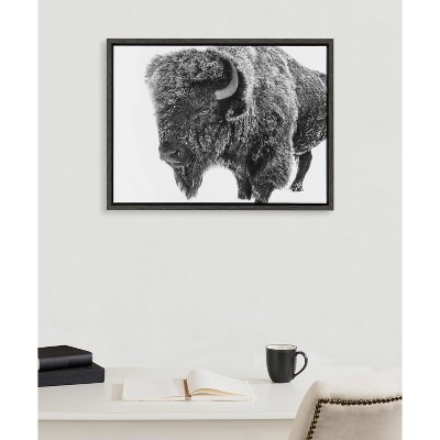 18" x 24" Black and White Bison Canvas Print with Dark Frame