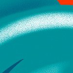 miami dolphins