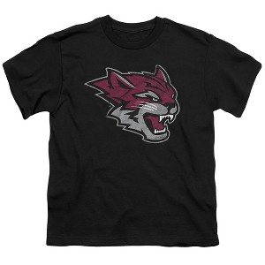 California State University Chico Distressed Primary Kids T-Shirt For Youth Black - 1 of 4